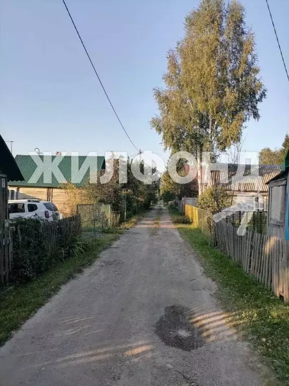Дом в Новосибирская область, Тогучинский район, Лесное - 1 СНТ  (60 м) - Фото 1