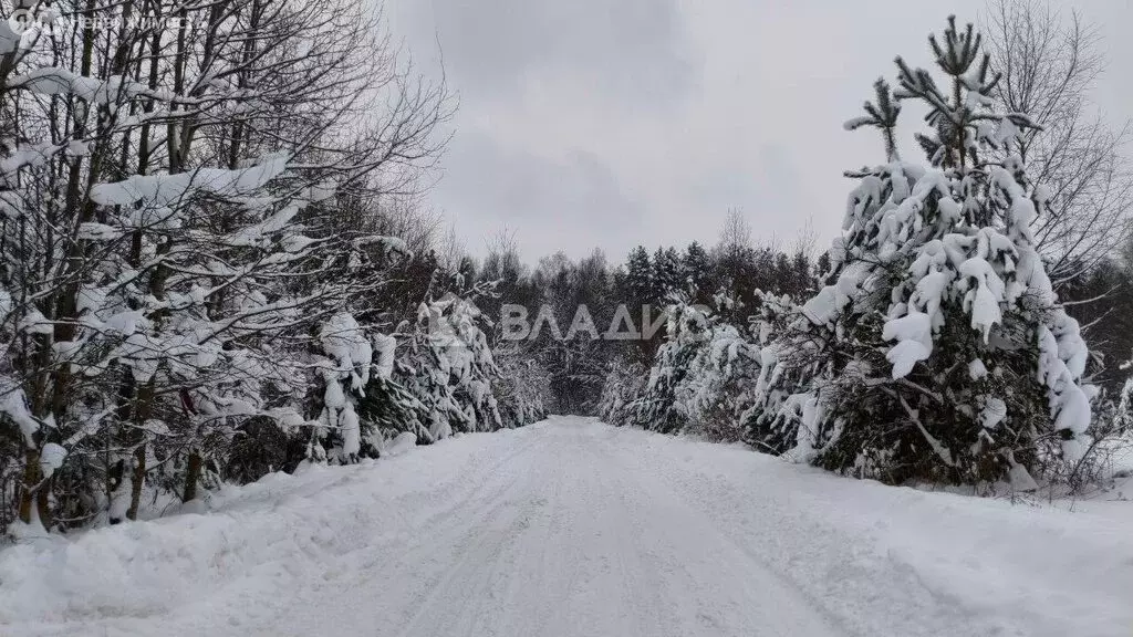 Участок в Владимирская область, Судогодский муниципальный округ, ДНТ ... - Фото 1