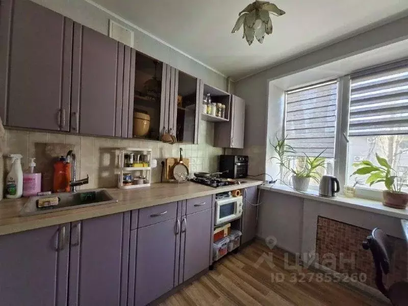 1-к кв. Воронежская область, Воронеж ул. Урицкого, 66 (29.4 м) - Фото 1