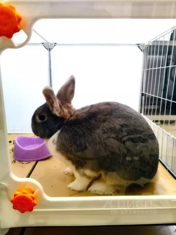 2-к кв. Санкт-Петербург просп. Стачек, 74 (55.6 м) - Фото 0