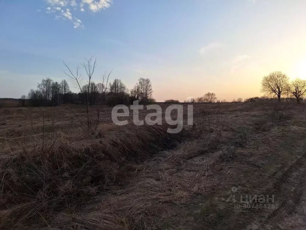 Участок в Тульская область, Тула муниципальное образование, д. Ратово  ... - Фото 1