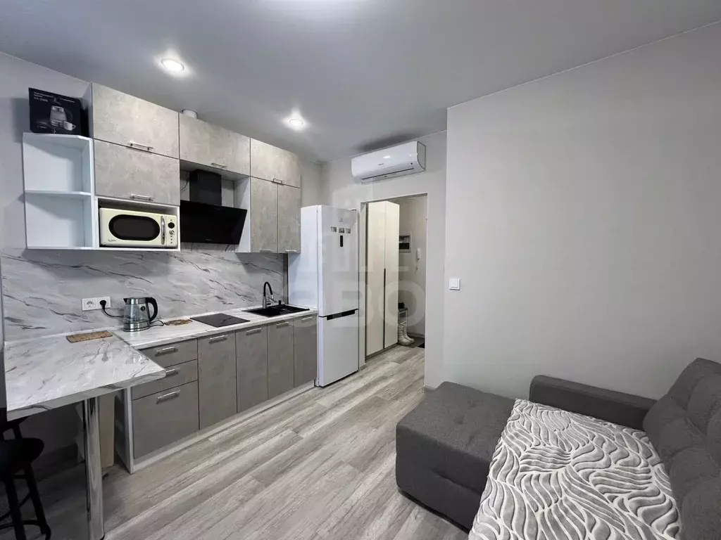 Студия Санкт-Петербург пос. Шушары, просп. Старорусский, 3к2 (19.0 м) - Фото 1