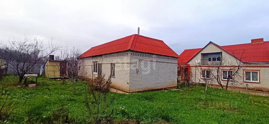 Дом в Белгородская область, Волоконовский район, с. Репьевка ул. ... - Фото 1