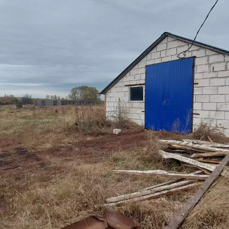 Склад в Пензенская область, Иссинский район, с. Широкоис ул. ... - Фото 0