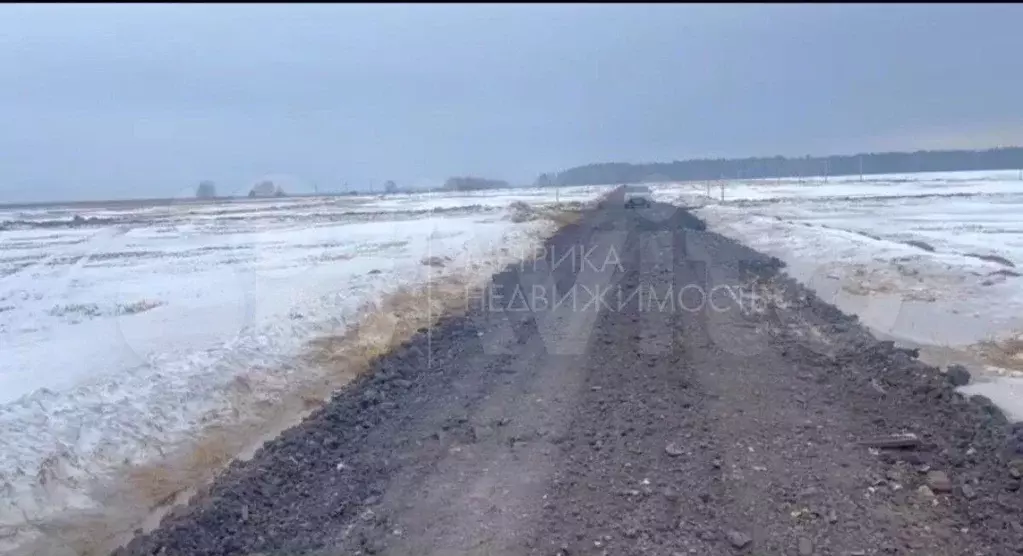 Участок 5 га (ИЖС) - Фото 1