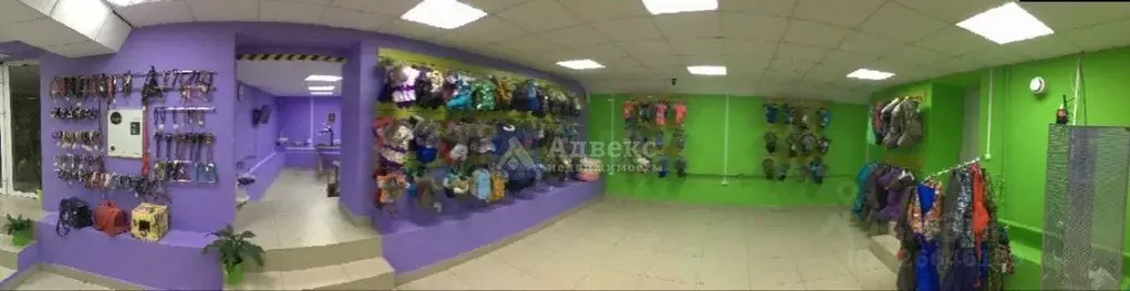 Помещение свободного назначения в Тюменская область, Тюмень ул. ... - Фото 2