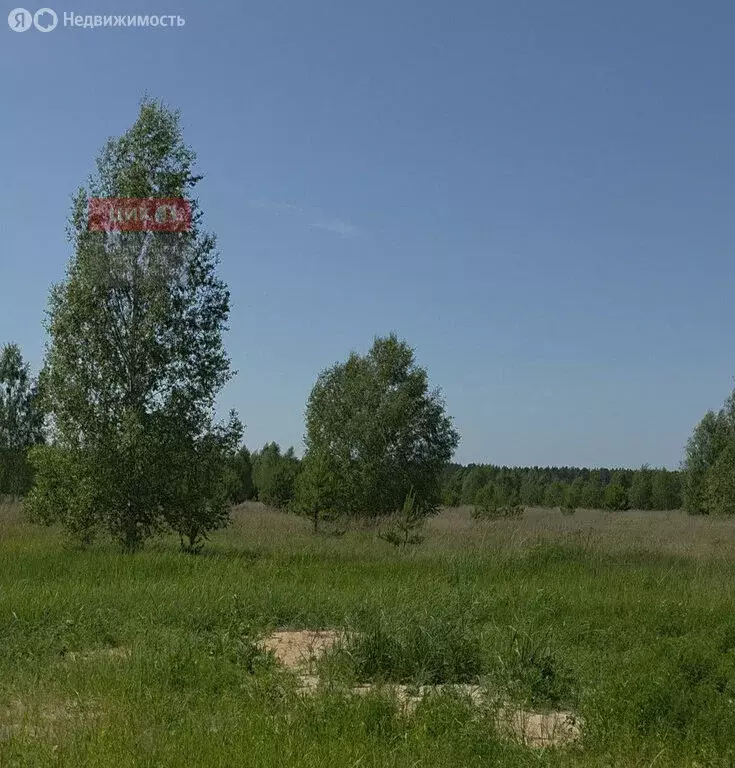 Участок в Панинское сельское поселение (9.95 м) - Фото 1