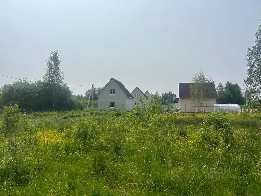 Участок в Московская область, Щелково городской округ, д. Мишнево ул. ... - Фото 1