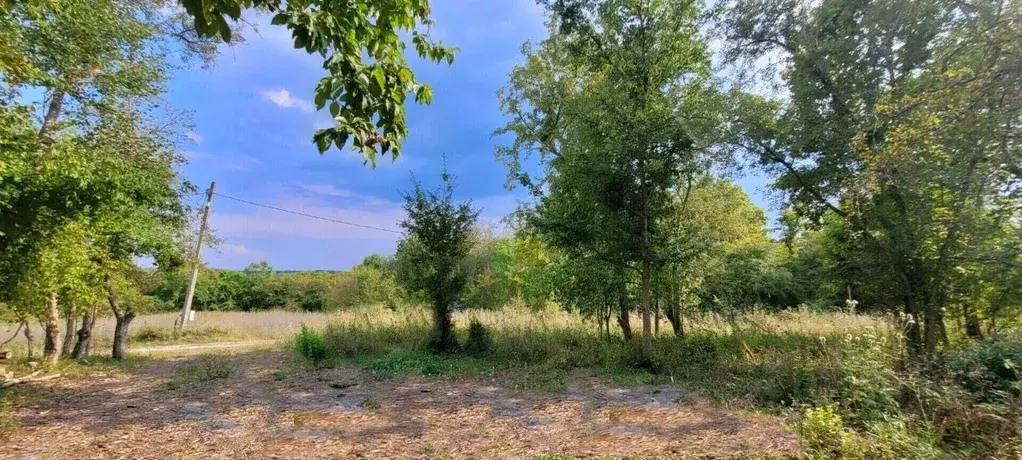 Участок в Краснодарский край, Северский район, Азовское с/пос, ... - Фото 1