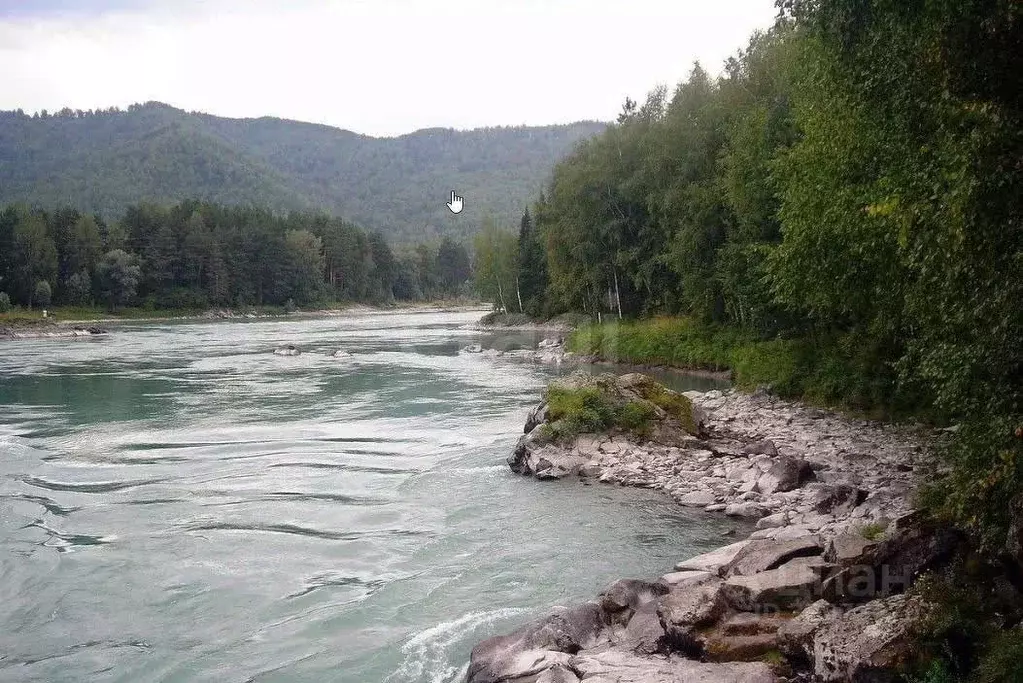 Участок в Алтай, Майминский район, пос. Дубровка Набережная ул., 14 ... - Фото 2