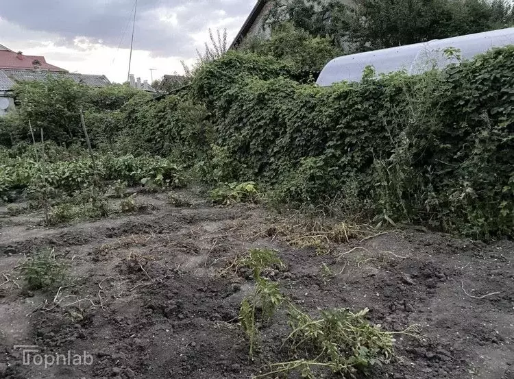 Участок в Кабардино-Балкария, Нальчик ул. Вологирова (5.5 сот.) - Фото 0