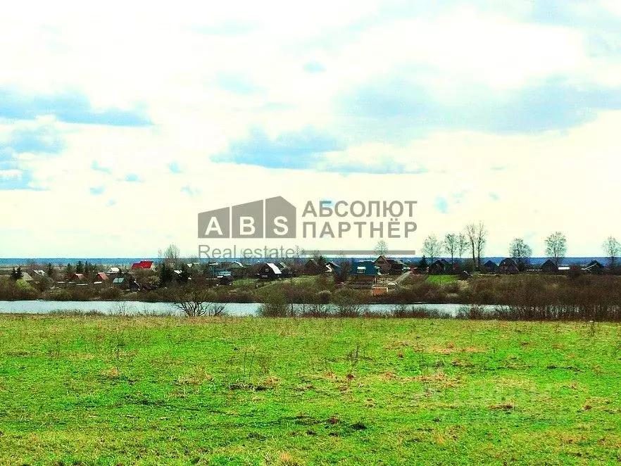 Участок в Новгородская область, Новгородский район, Савинское с/пос, ... - Фото 0