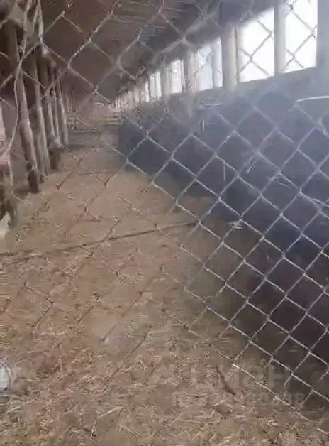 Дом в Ивановская область, Южский район, Мугреево-Никольское с/пос, с. ... - Фото 1