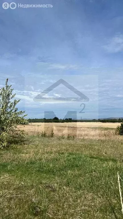 Участок в Селиванихинский сельсовет (1200 м) - Фото 0