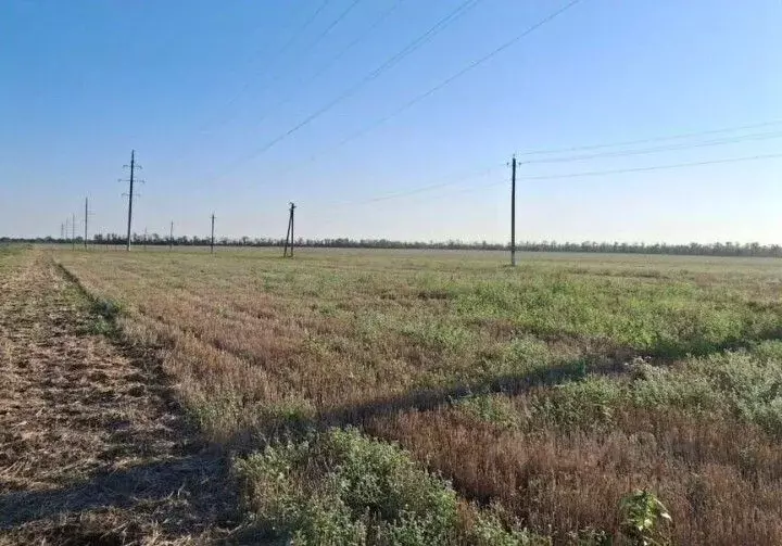 Участок в Краснодарский край, Ейск Весна садоводческое товарищество,  ... - Фото 1