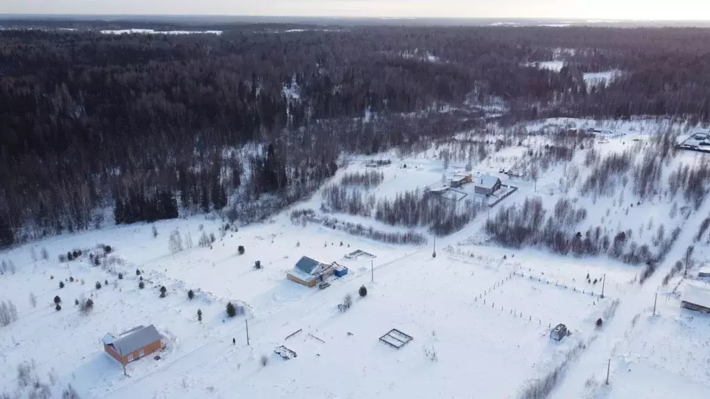 Участок в Томская область, Томский район, Новые Вешки ДНТ ул. ... - Фото 2