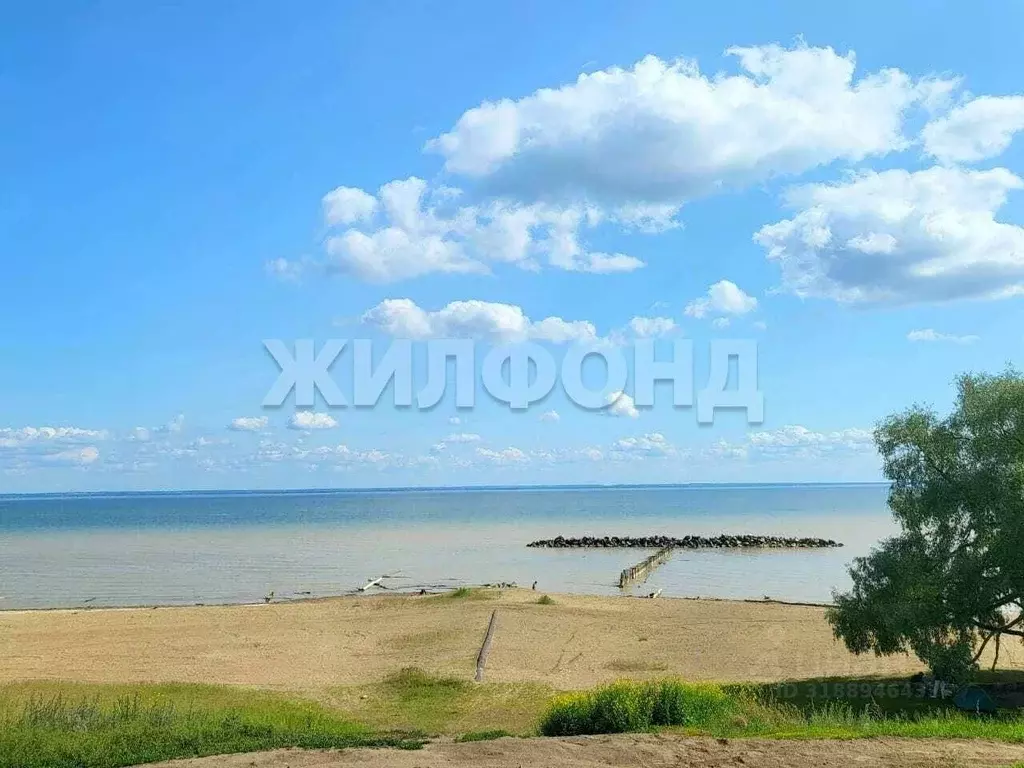 Участок в Новосибирская область, Новосибирский район, Морской ... - Фото 0