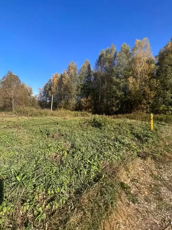 Участок в Владимирская область, Киржачский муниципальный округ, ... - Фото 0