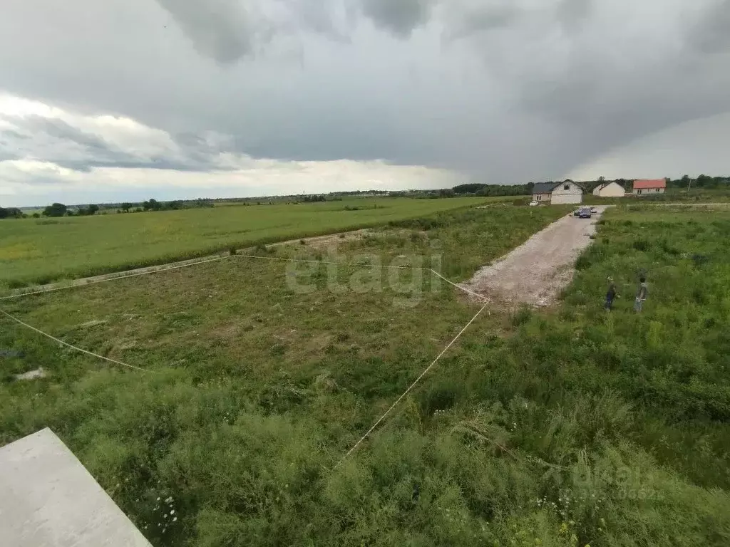 Участок в Калининградская область, Гурьевский муниципальный округ, ... - Фото 1