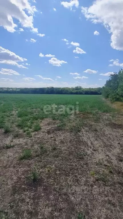 Участок в Ростовская область, Аксайский район, Щепкинское с/пос, пос. ... - Фото 1