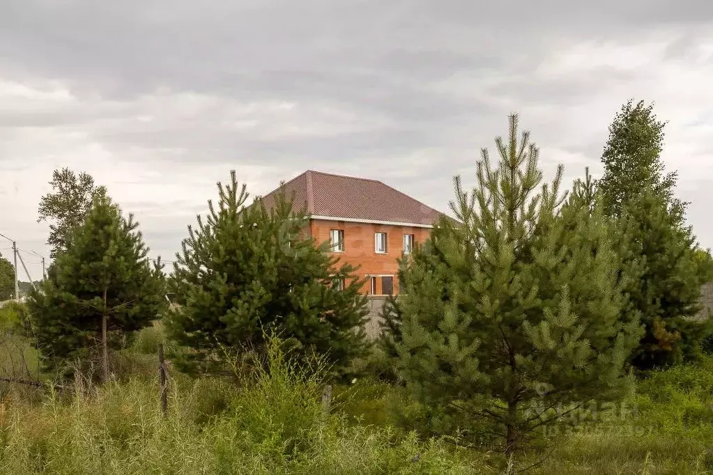 Дом в Амурская область, Благовещенский район, с. Игнатьево ул. ... - Фото 1