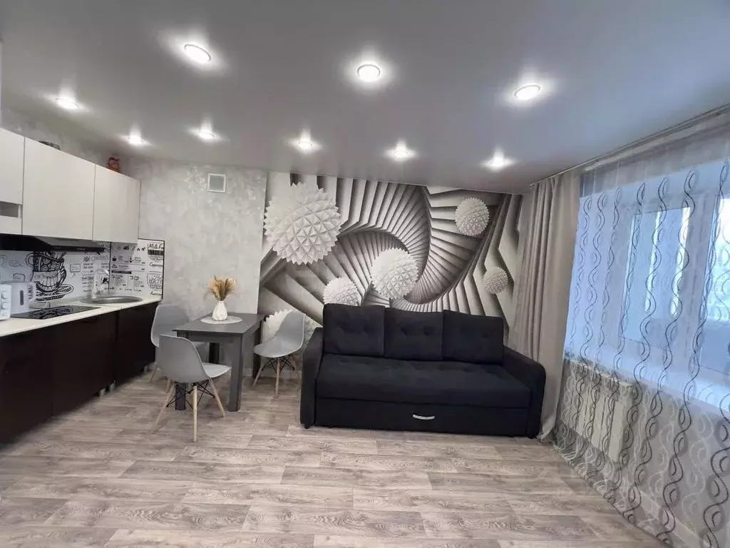 Студия Амурская область, Благовещенский район, с. Чигири ул. Красивая, ... - Фото 2