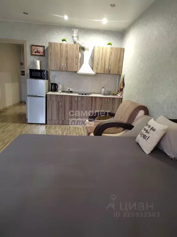 Студия Московская область, Ногинск Богородский городской округ, ул. ... - Фото 2