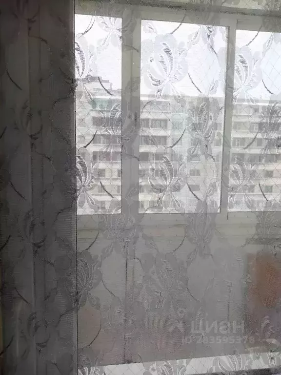 1-к кв. Кировская область, Киров ул. Воровского, 163 (30.0 м) - Фото 1