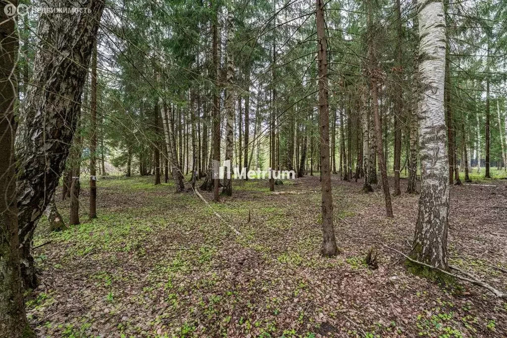 Участок в Конаково, Пригородная улица (40 м) - Фото 0