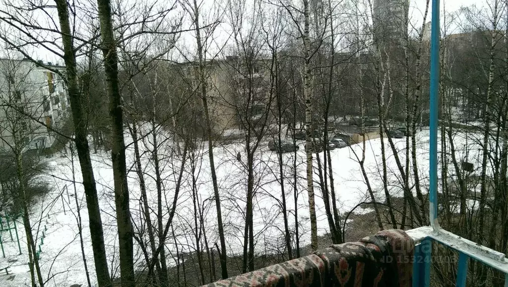 Комната Московская область, Одинцово ул. Маршала Бирюзова, 26 (19.0 м) - Фото 1