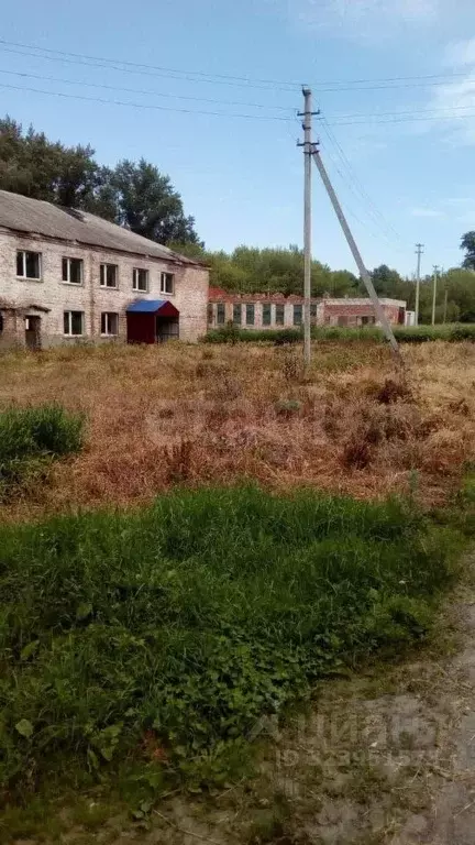 Помещение свободного назначения в Курская область, Фатежский район, ... - Фото 1