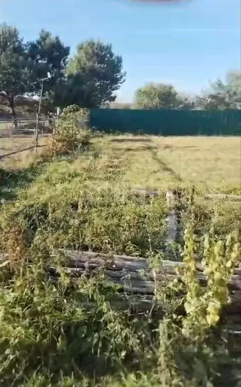 Участок в Калужская область, Тарусский муниципальный округ, Некрасово ... - Фото 2