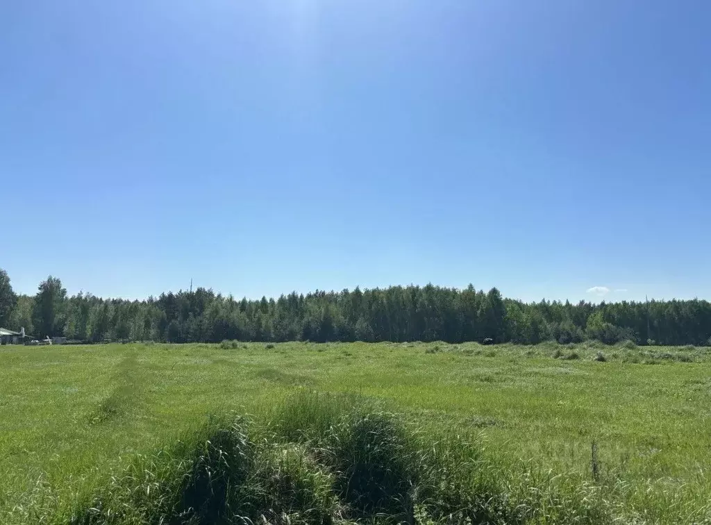 Участок в Московская область, Павлово-Посадский городской округ, д. ... - Фото 1