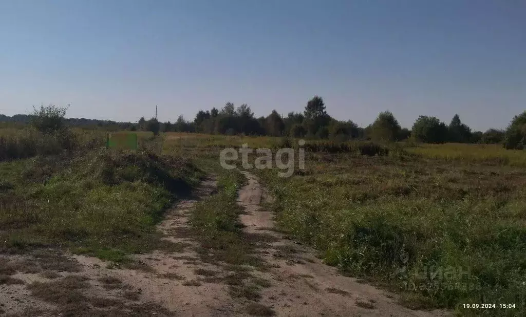 Участок в Калининградская область, Гурьевский муниципальный округ, ... - Фото 2