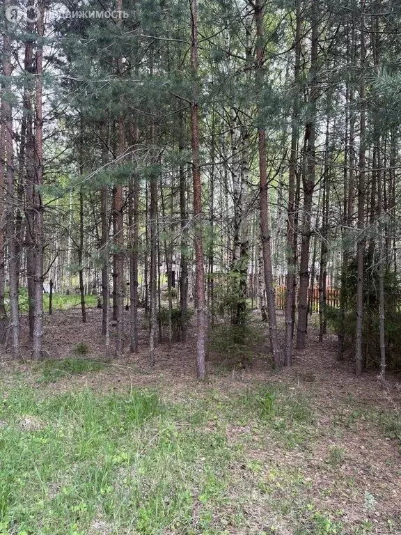 Участок в Нижегородская область, Городецкий муниципальный округ, ... - Фото 0