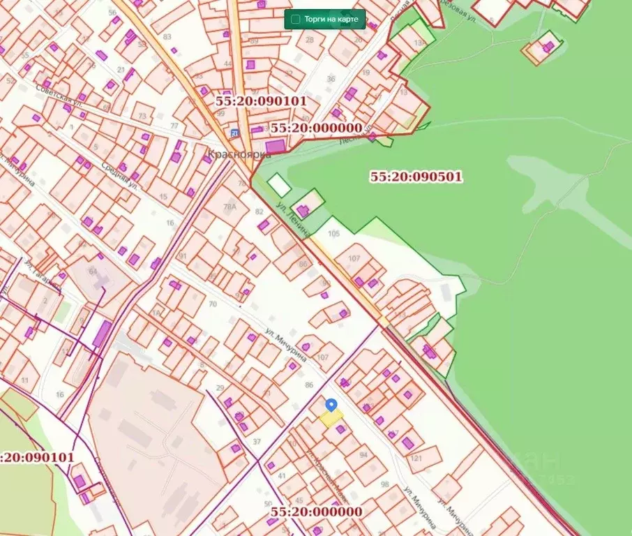 Участок в Омская область, Омский район муниципальный округ, с. ... - Фото 1