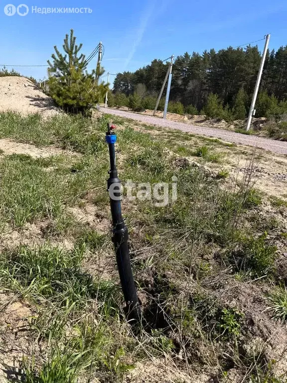 Участок в Выборгский район, Приморское городское поселение, коттеджный ... - Фото 1