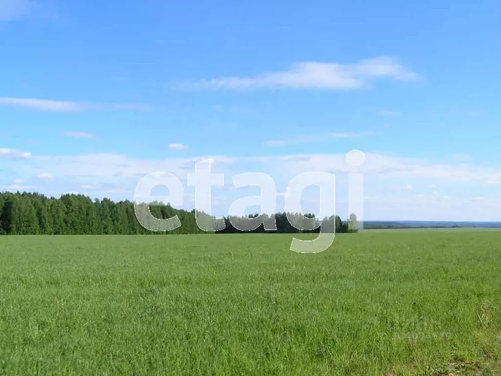 Участок в Свердловская область, Нижний Тагил городской округ, с. ... - Фото 1