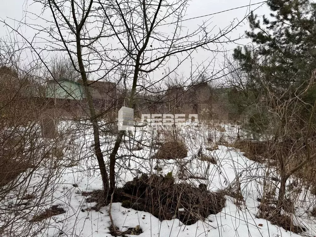 Участок 7,3 сот. (СНТ, ДНП) - Фото 1