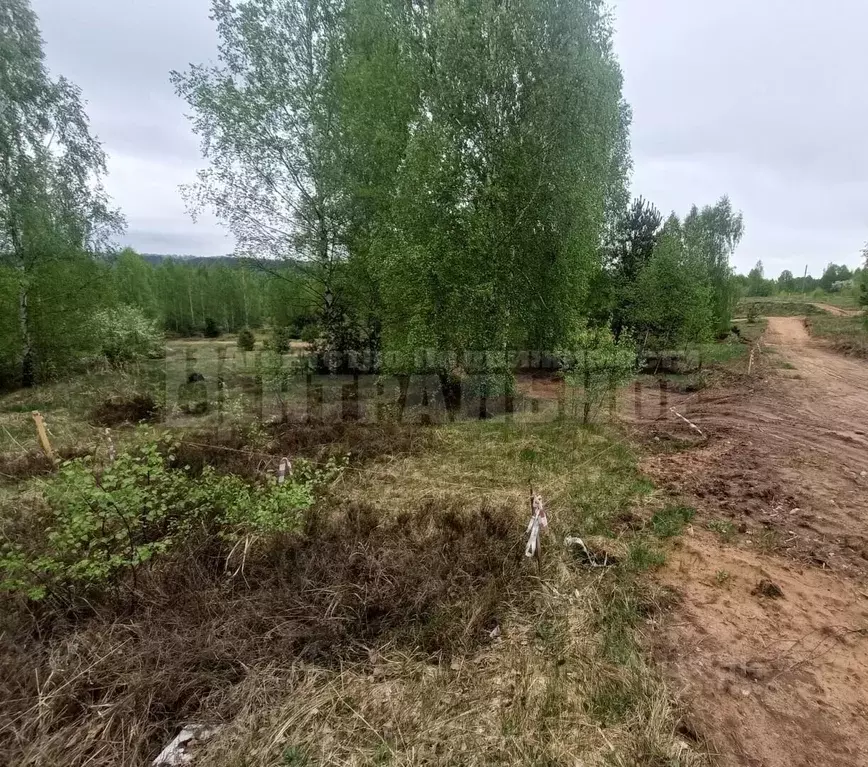Участок в Смоленская область, Смоленский муниципальный округ, д. ... - Фото 2