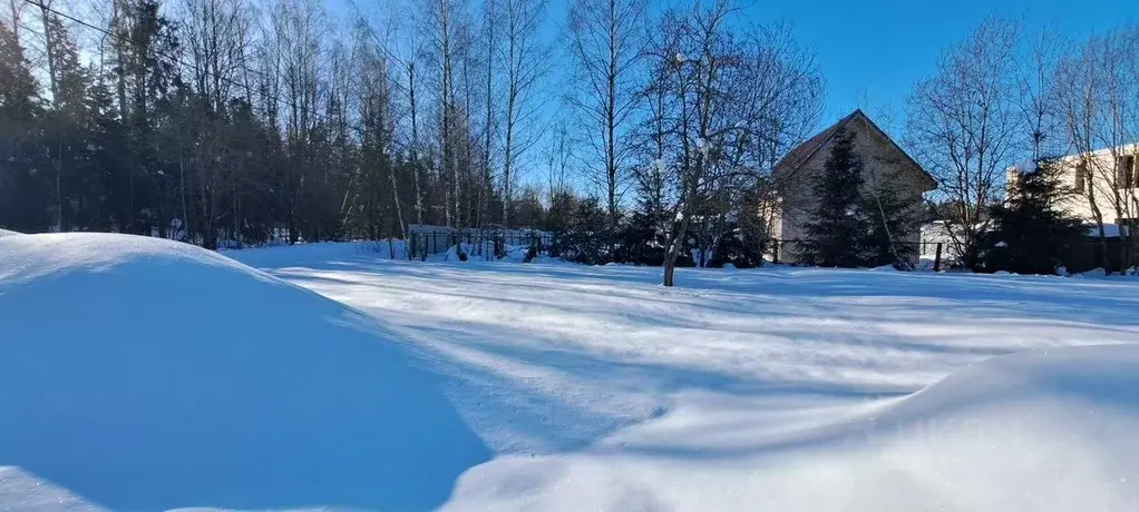 Участок в Московская область, Истра муниципальный округ, д. Сокольники ... - Фото 1