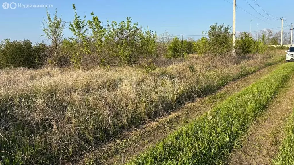 Участок в Краснодарский край, муниципальный округ Анапа, посёлок ... - Фото 1