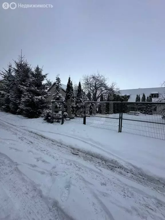 Участок в Балтийск, СНТ Балтийские Озерки (3.7 м) - Фото 1