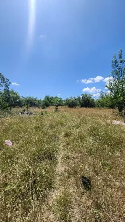 Участок в Севастополь с. Орлиное, ул. Вишневая (10.0 сот.) - Фото 1