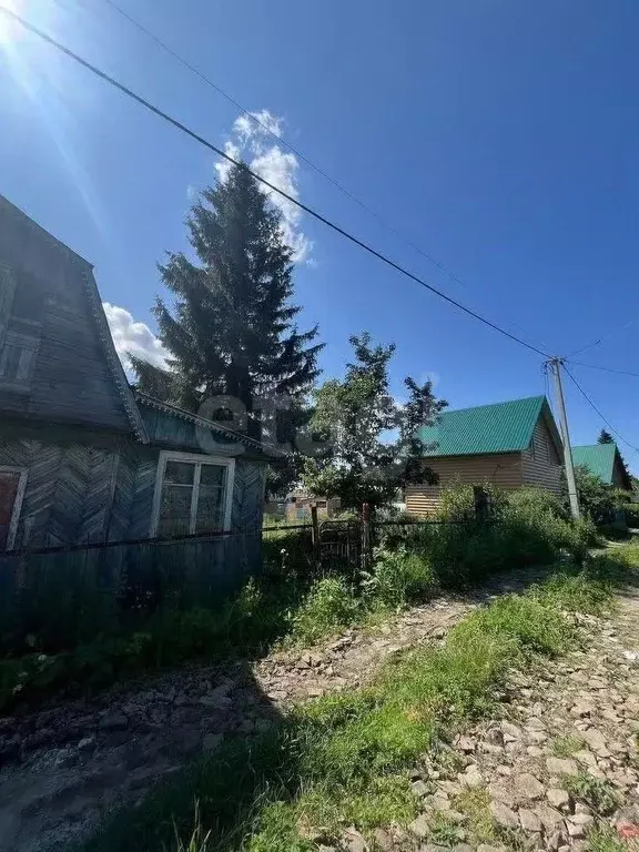 Участок в Новосибирская область, Новосибирск Золотая Горка СНТ, аллея ... - Фото 1