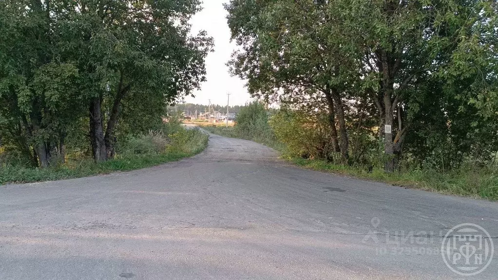 Участок в Ленинградская область, Ломоносовский район, Лопухинское ... - Фото 1