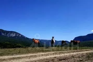 Дом в Крым, Бахчисарайский район, Голубинское с/пос, с. Соколиное ул. ... - Фото 0