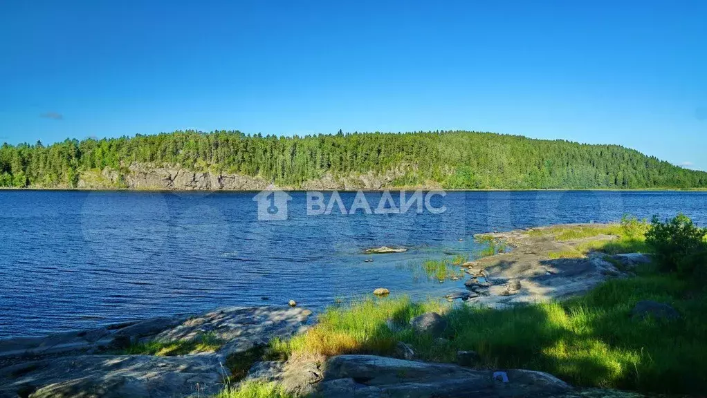 Участок 1,26га (СНТ, ДНП) - Фото 0