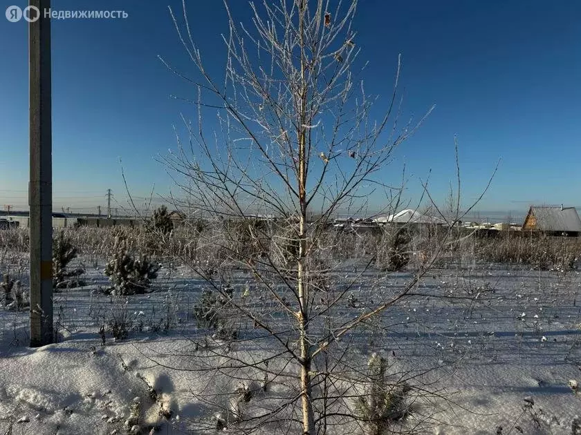 Участок в Тюменский район, деревня Елань, коттеджный поселок Хвойный ... - Фото 0