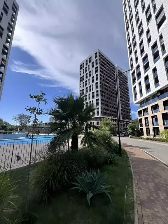 1-к кв. Краснодарский край, Сочи городской округ, Дагомыс пгт ш. ... - Фото 1